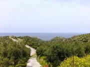 Mochlos Kreta, Mochlos: Steinhaus mit Meerblick zu verkaufen Haus kaufen